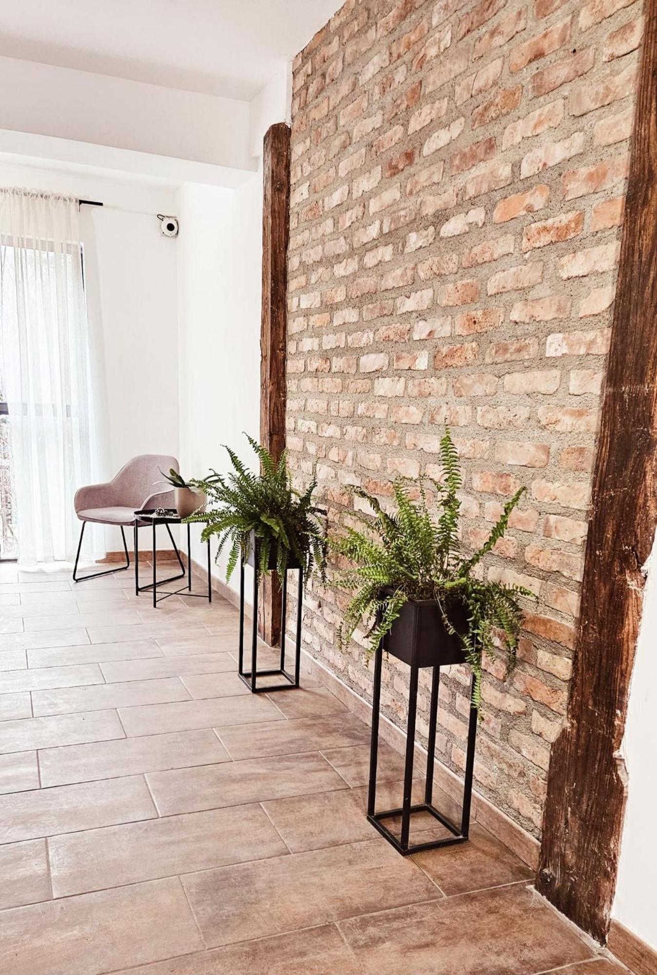 Ama Apartament - Cota 1000 Sinaia Exteriör bild